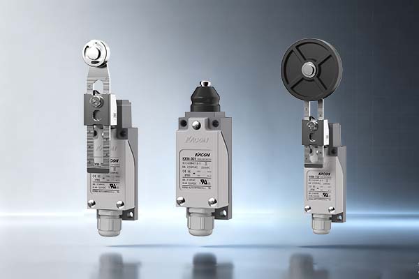 Limit switch